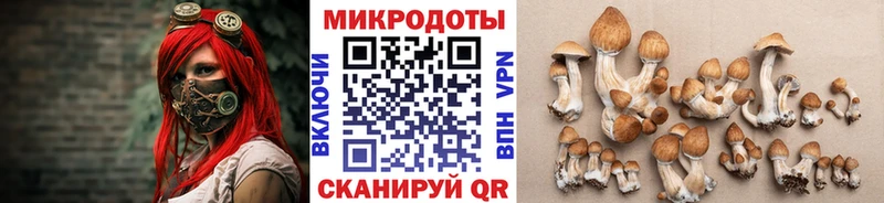 Псилоцибиновые грибы мицелий  Купить закладки  Асино 