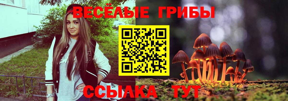 Асино  Галлюциногенные грибы Cubensis  Вход с VPN 